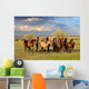 Horses