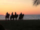 Cow Boys Sunset 2 Wall Decal
