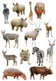African Animals Collection Wall Decal Sticker Set