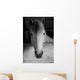 Black and White Portrait Wall Mural