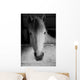 Black and White Portrait Wall Mural