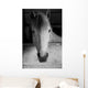 Black and White Portrait Wall Mural