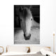 Black and White Portrait Wall Mural