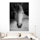 Black and White Portrait Wall Mural
