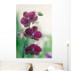 Mauve Orchid Wall Mural