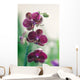 Mauve Orchid Wall Mural