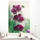 Mauve Orchid Wall Mural