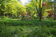 Park Wall Decal Design 1
