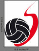 Volleyball on Fire Wall Decal