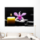 Spa Scene -aromatherapy Candle and Pink Orchid on Zen Stones Wall Mural