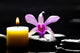 Spa Scene -aromatherapy Candle and Pink Orchid on Zen Stones Wall Mural