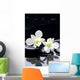 tranquil spa scene Wall Mural