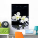 tranquil spa scene Wall Mural