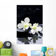 tranquil spa scene Wall Mural