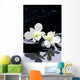 tranquil spa scene Wall Mural
