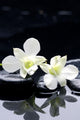 tranquil spa scene Wall Mural