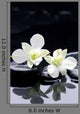 tranquil spa scene Wall Mural