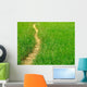 Sentiero Nel Prato Wall Decal