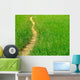 Sentiero Nel Prato Wall Decal