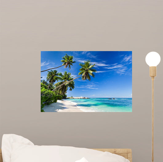 Seychelles beach coconut Wall Mural