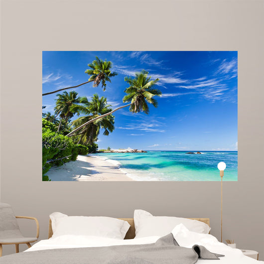 Seychelles beach coconut Wall Mural