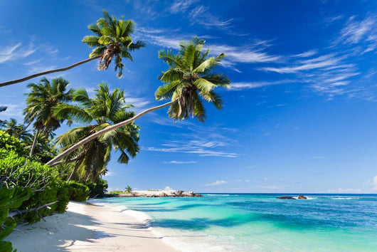 Seychelles beach coconut Wall Mural