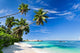 Seychelles beach coconut Wall Mural