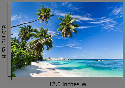 Seychelles beach coconut Wall Mural