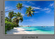 Seychelles beach coconut Wall Mural