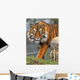 Sumatran Tiger Wall Mural