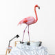 Flamingo Wall Decal