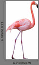 Flamingo Wall Decal