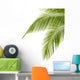 Palm Tree