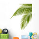 Palm Tree
