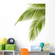 Palm Tree