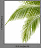 Palm Tree