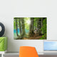 Sunshine Forest Lake Side Wall Decal