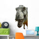 Dinosaur Tyrannosaurus Rex White