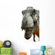 Dinosaur Tyrannosaurus Rex White