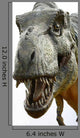 Dinosaur Tyrannosaurus Rex White