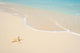 Starfish Beach