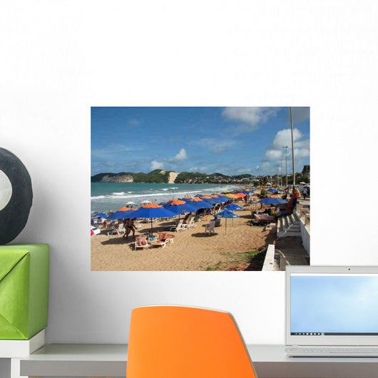 Natal Beech Wall Decal
