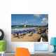 Natal Beech Wall Decal
