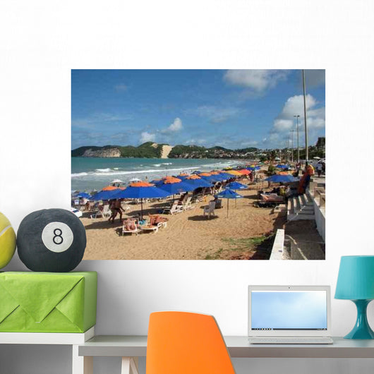 Natal Beech Wall Decal