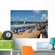 Natal Beech Wall Decal