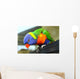 Australian Bird Wall Mural