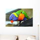 Australian Bird Wall Mural