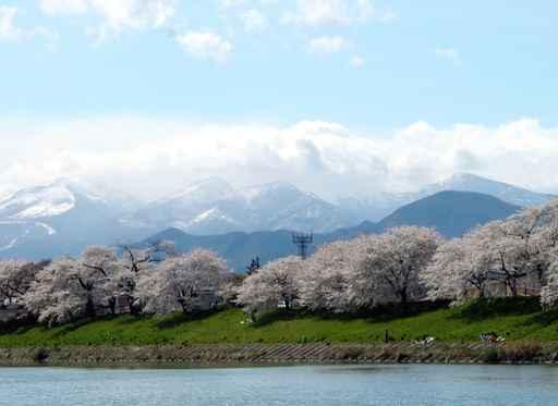 Japanese Spring Landscape Wall Decal