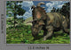 Prehistoric Albertaceratops Dinosaur Wall Mural