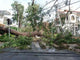 After Tornado Wall Decal